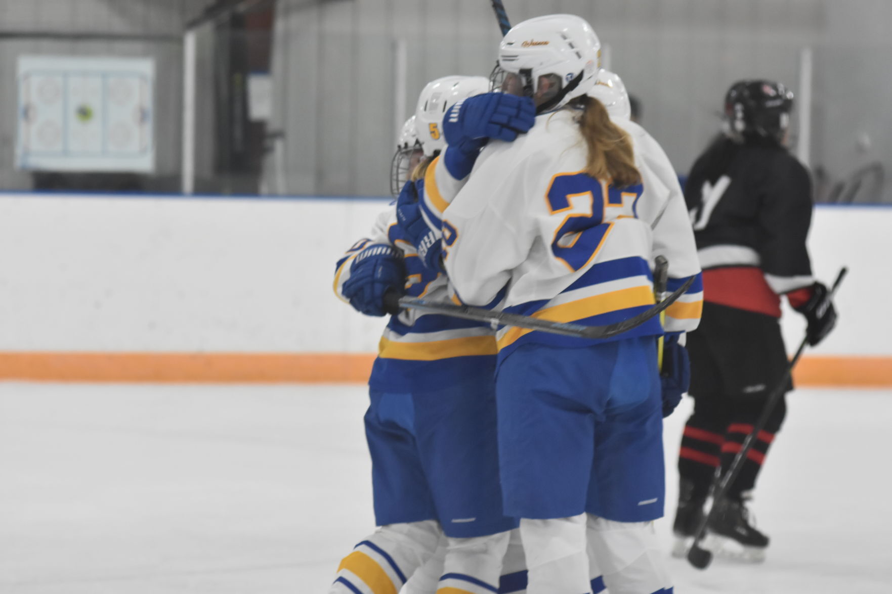 (Waseca girls hockey) ot celebrate.JPG